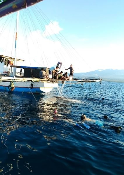 Sumbawa whale shark snorkeling