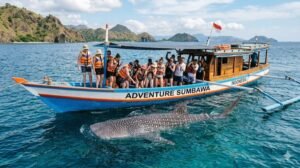 Labuhan Jambu whale shark boat tour