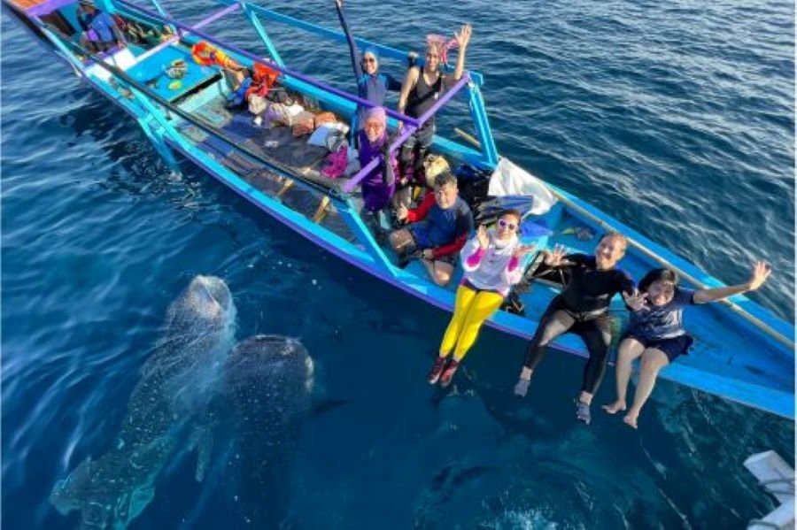 Saleh Bay whale shark boat tour itinerary guide