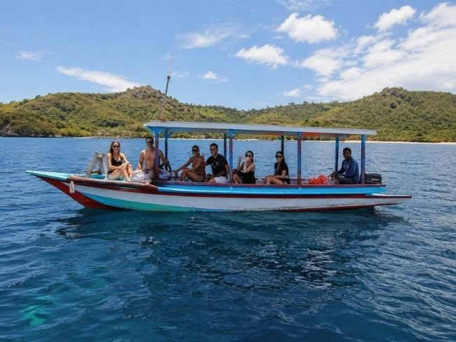 Whale Shark Snorkeling in Saleh Bay