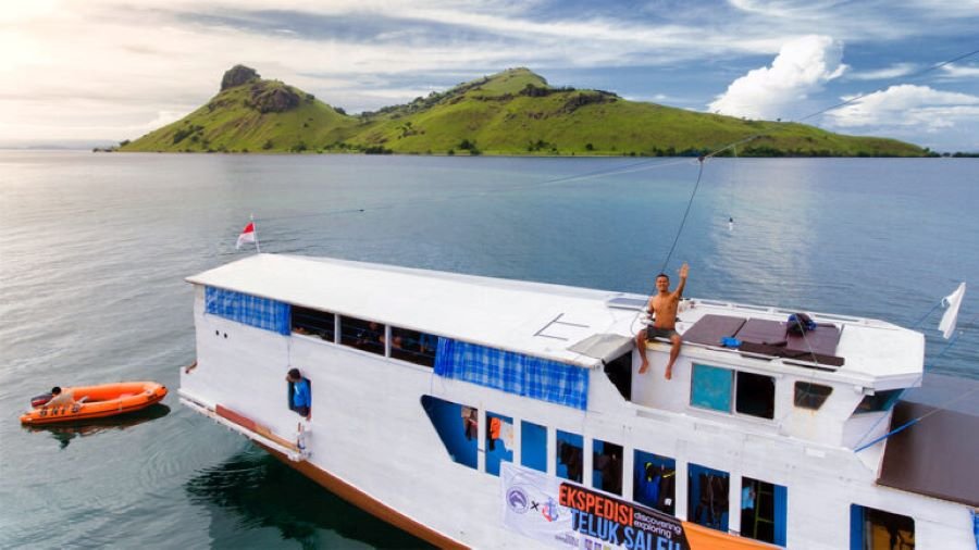 how to plan a Sumbawa whale shark tour from Lombok