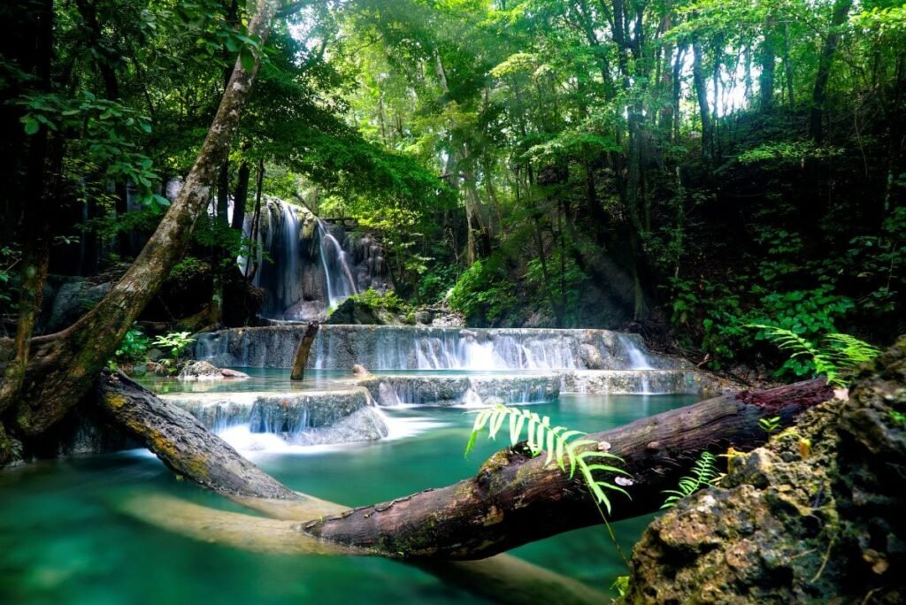 moyo island