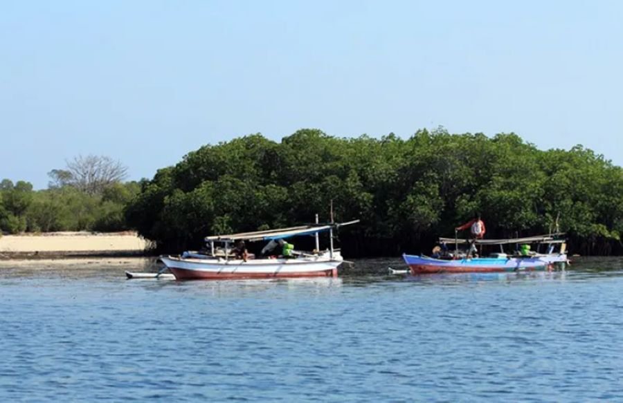 Panjang Island private tour