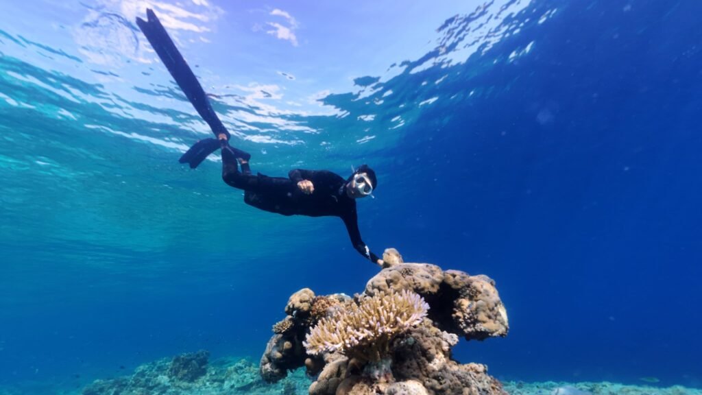Sumbawa snorkeling tour