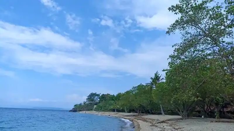 Ngali island private tour