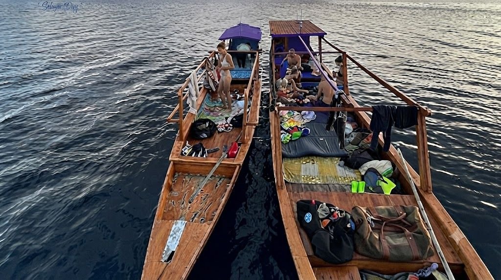 Saleh Bay Whale Shark Tour Package Itinerary Guide