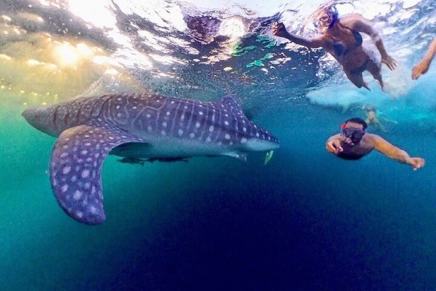 Sumbawa Backpacking Tour