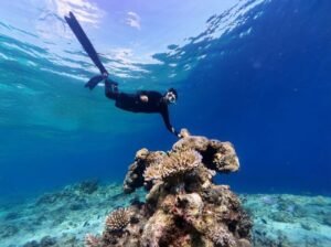 Sumbawa Budget Travel Tour