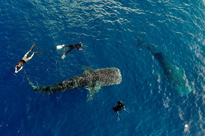 Sumbawa eco tourism