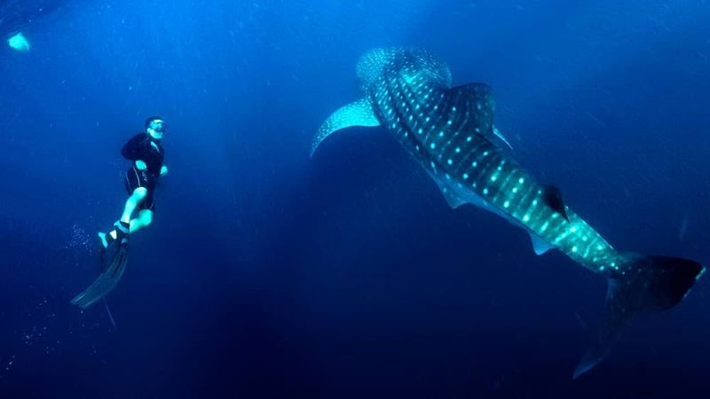 Sumbawa eco tourism