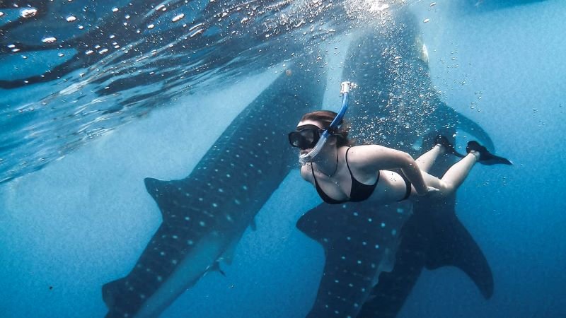Sumbawa travel guide tour deposit