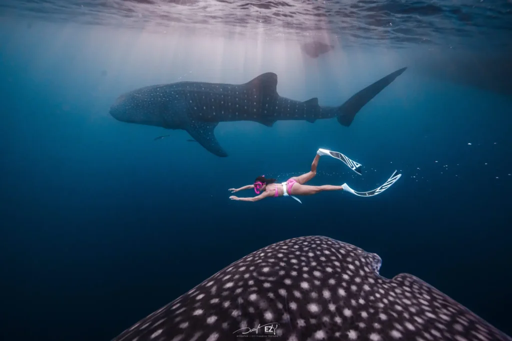 Sumbawa private driver tour