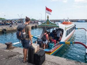 how to plan a Sumbawa whale shark tour from Bali