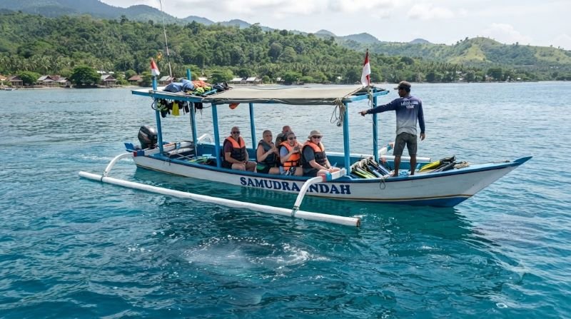 whale shark Labuhan Jambu visitor guide