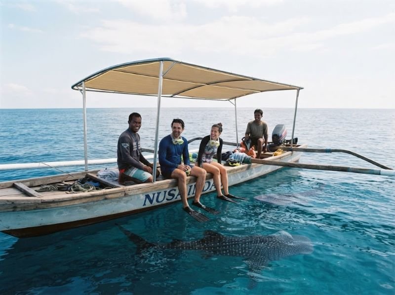 whale shark Sumbawa guide for couples