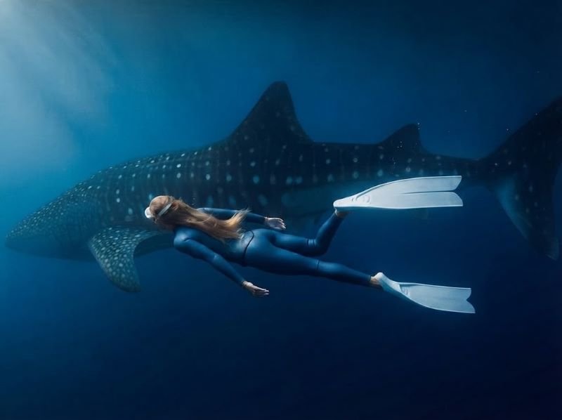 Sumbawa travel guide snorkeling safety experience