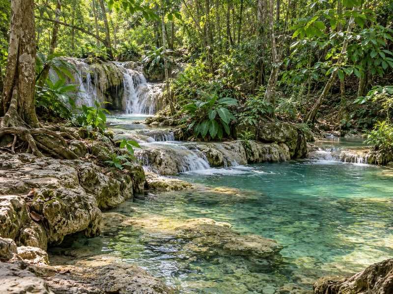 Forest scenery near Mata Jitu Waterfall