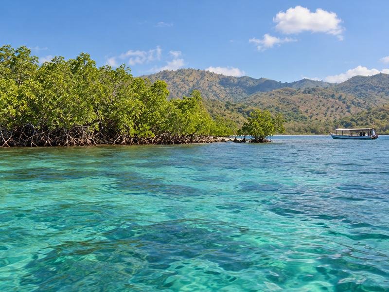 Saringi Island private tour
