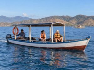 do you need a guide Labuhan Jambu whale shark